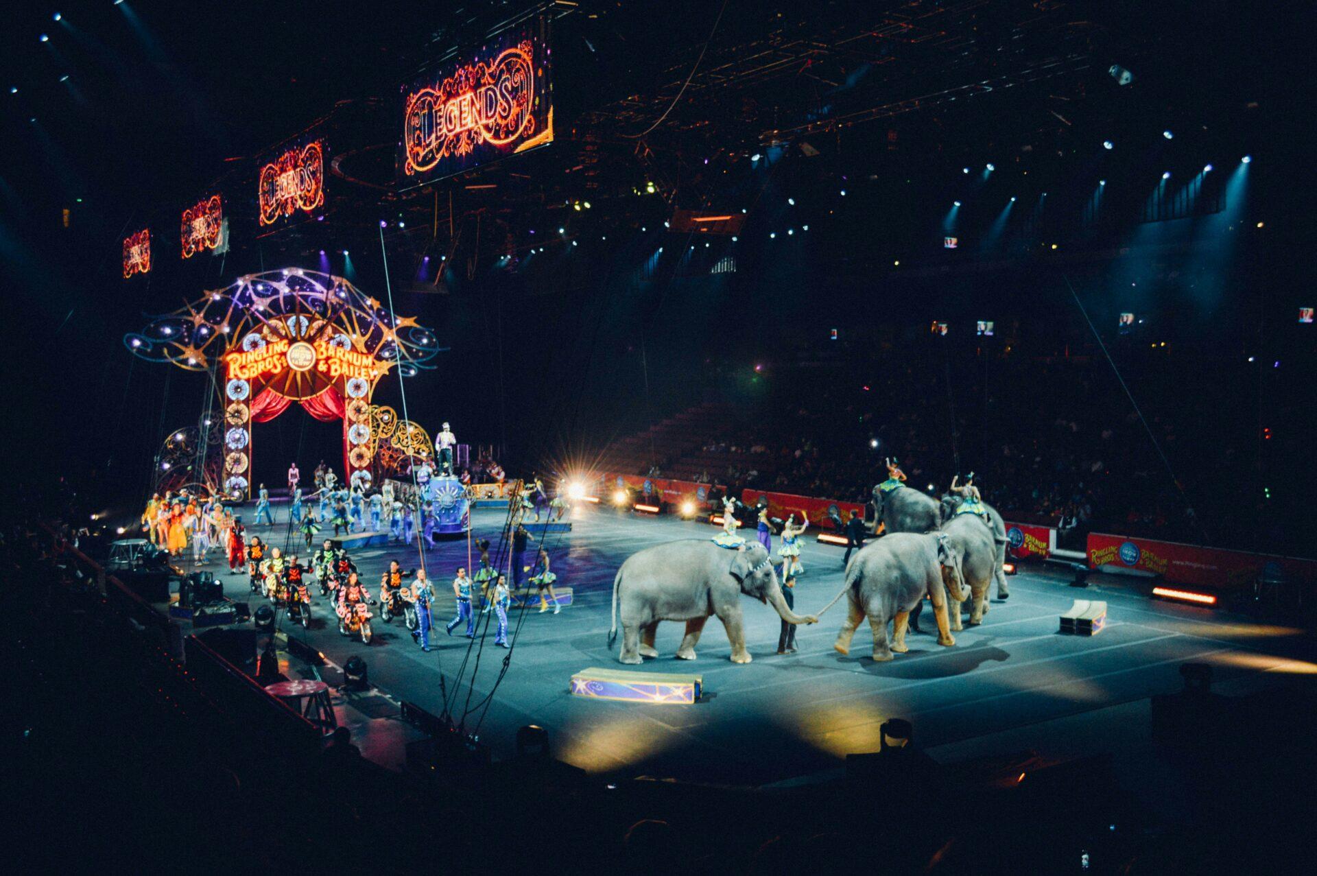 O que o Cirque du Soleil me ensinou sobre performance sustentável