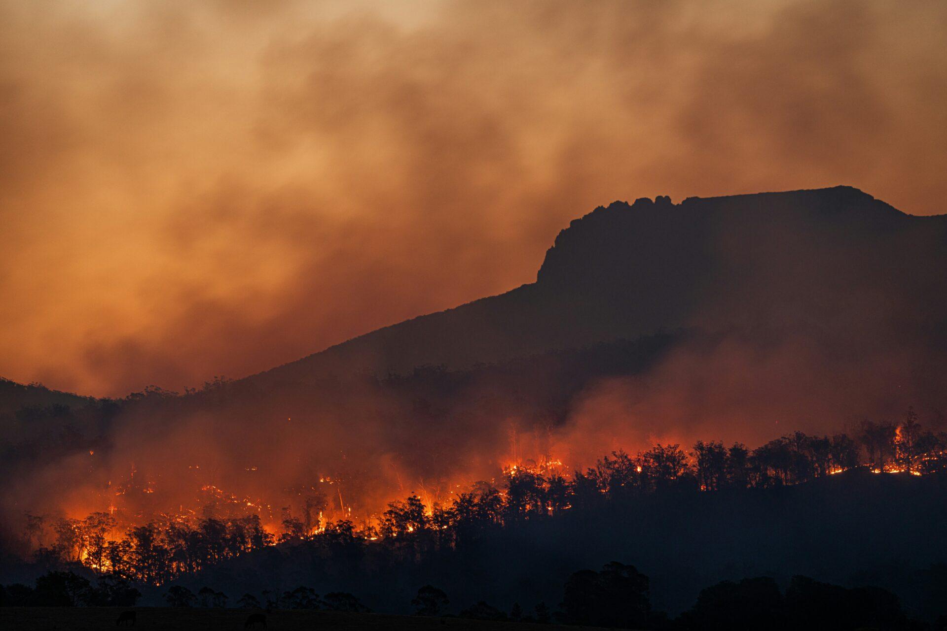 O CEO do Clima: Riscos ambientais, inteligência territorial e a nova governança corporativa de alta performance