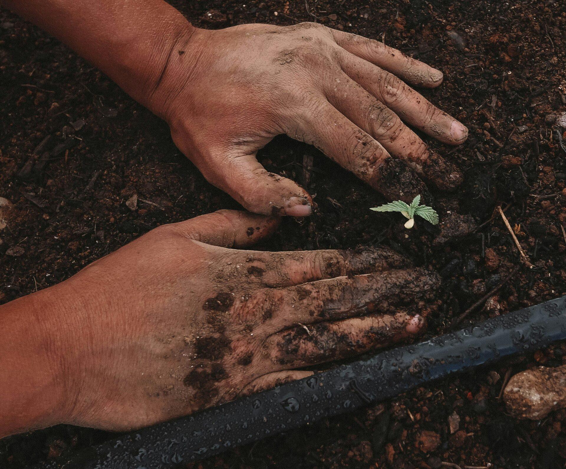 Protagonismo das mulheres nordestinas ganha destaque na agricultura familiar
