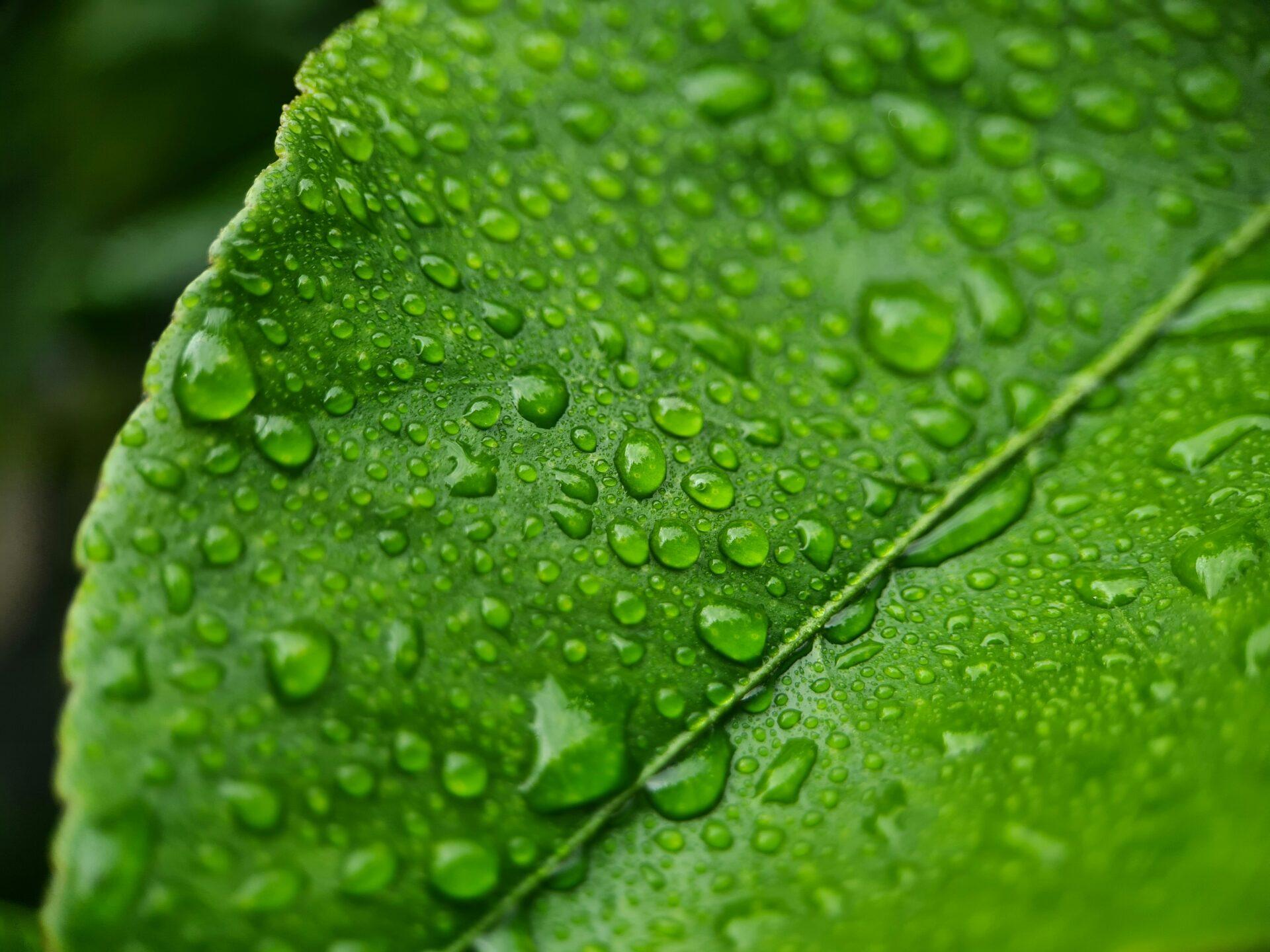 Greenwashing: o risco jurídico e reputacional que pode destruir o faturamento e a governança da empresa