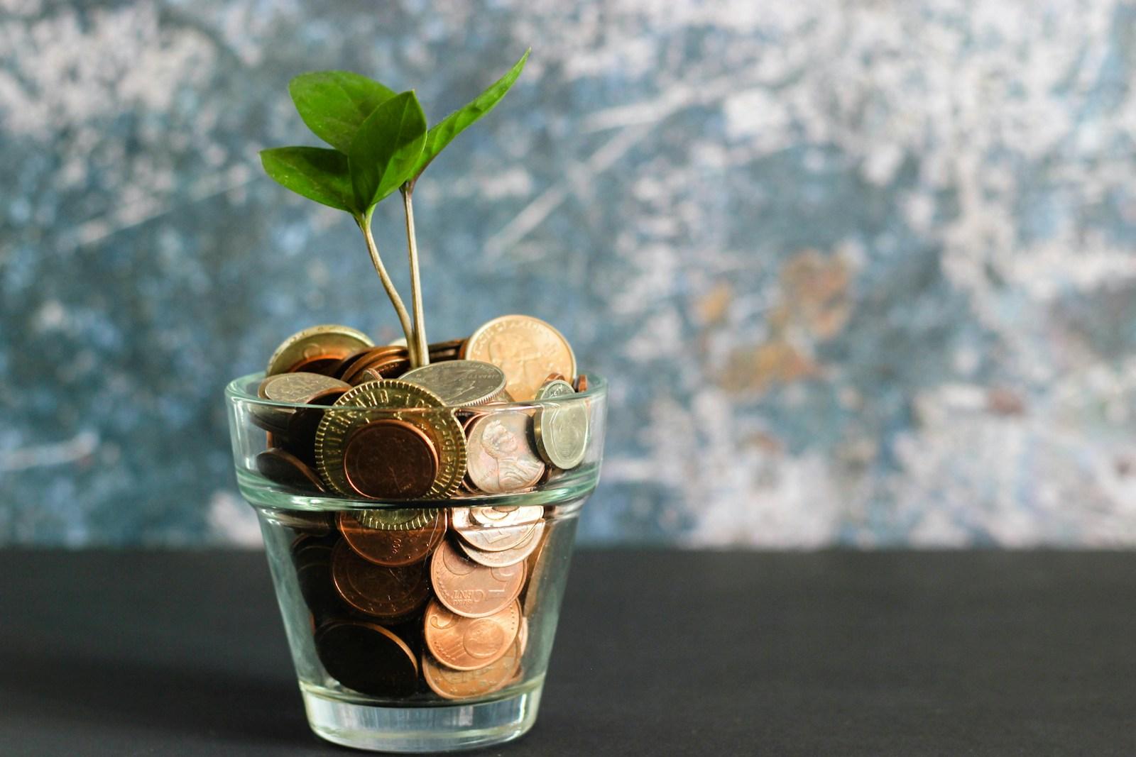 O investimento que ninguém faz no banco, mas todo negócio precisa
