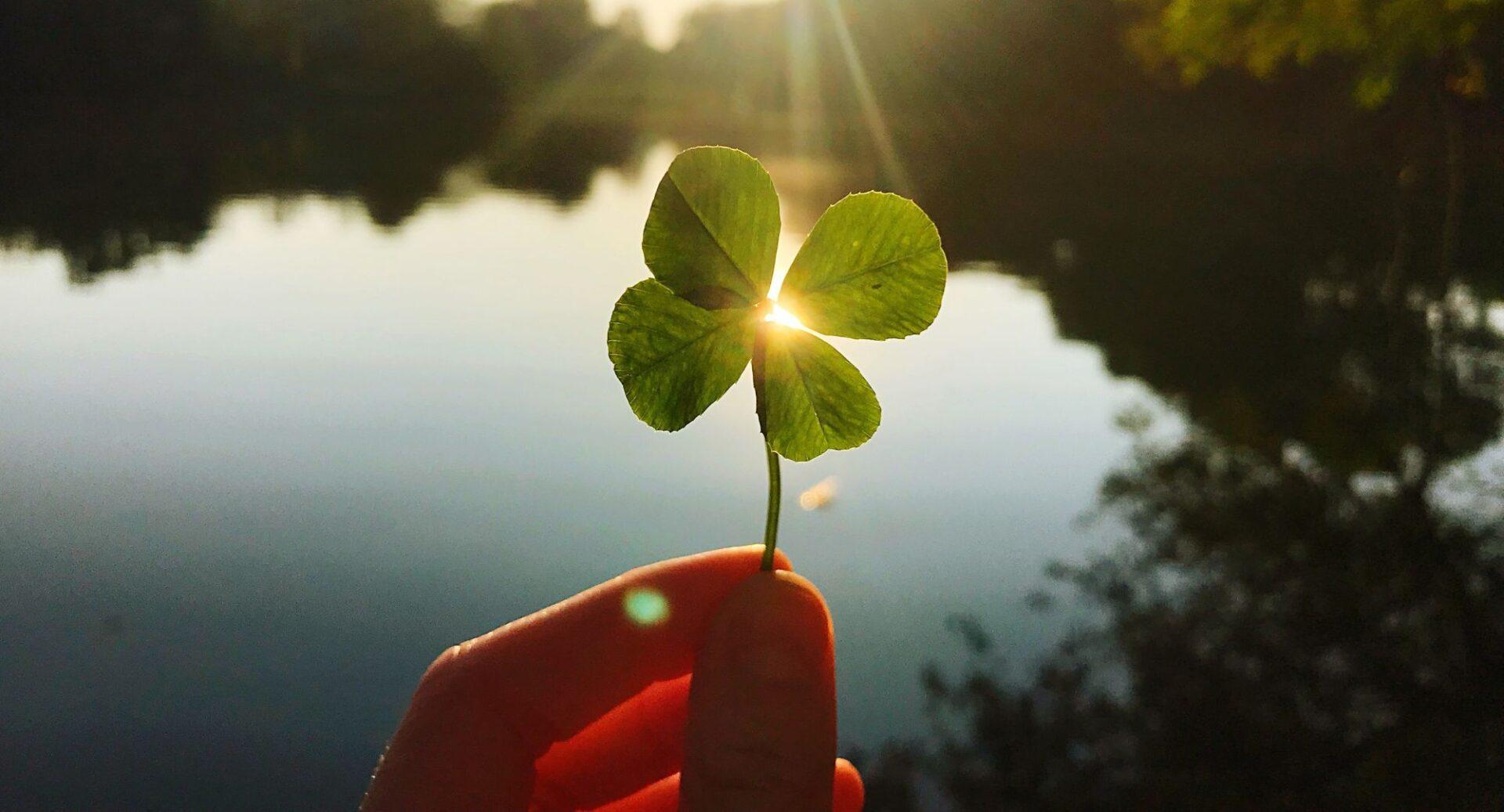 Use a comunicação para construir autoridade e posicionamento em ESG